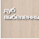 дуб_выбеленный