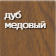 дуб_медовый