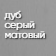 дуб_серый_матовый