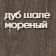 дуб_шале_мореный